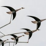 La volée d'oies sauvages