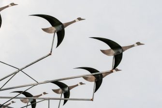 La volée d'oies sauvages