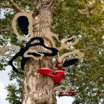 Il en lui reste plus que la belle vue sur le Fleuve